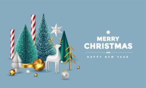 Season's Greetings 2024